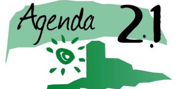 Diagnóstico Agenda Local 21