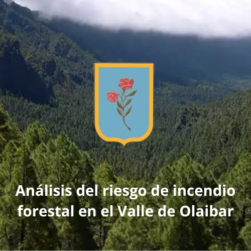 ANÁLISIS DEL RIESGO DE INCENDIO FORESTAL EN EL VALLE DE OLAIBAR